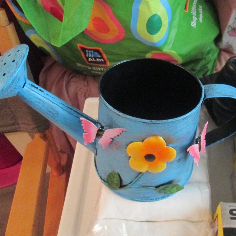 Decorative Water Can